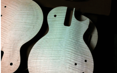 Grain Patterns of Birdseye-Maple Wood