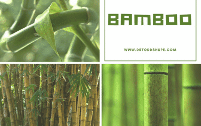 Characterization of Microwave Liquefied Bamboo Residue