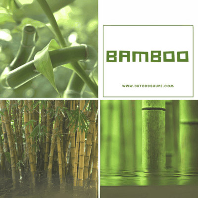 Characterization of Microwave Liquefied Bamboo Residue