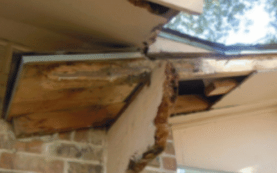 Rotten Soffit and Facia Problems – Consider Borates