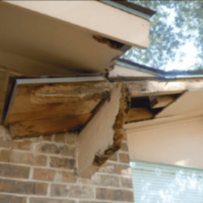 Rotten Soffit and Facia Problems – Consider Borates