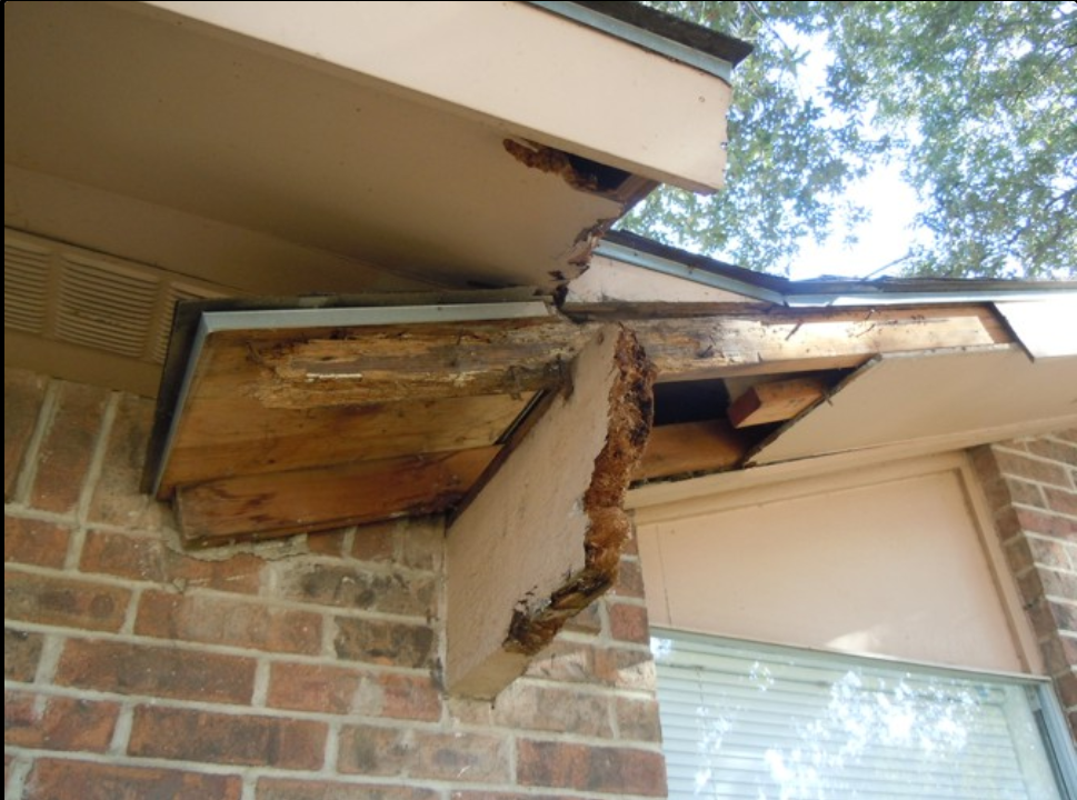 Rotted wooden soffit and fascia.