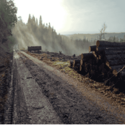End Coating Logs Can Maintain Value