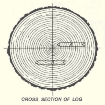 Finishing and Maintaining Wood Floors Part 1 – Wood Properties