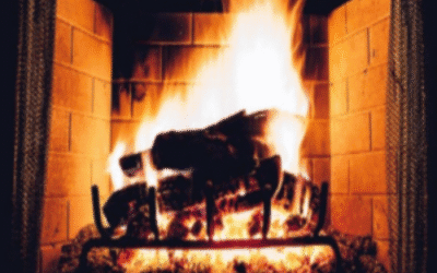 Firewood – Understanding Some Basics
