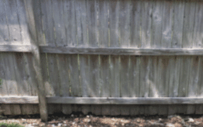 Wood Fence Decay – Causes and Cures