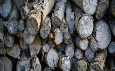 Firewood – Seasoning and Drying