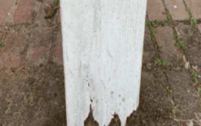 Wood Post Decay
