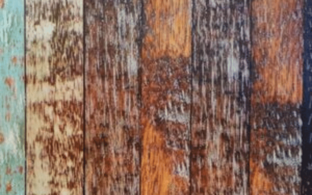 Importance of Wood Moisture Content