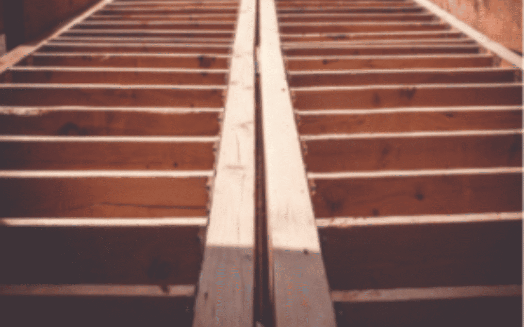 Use Preservative-treated Wood & Integrated Pest Management When Rebuilding