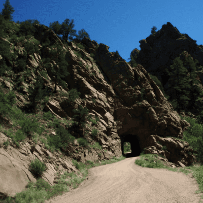 Understanding the Timber Needs of the Romans During the Time of Jesus