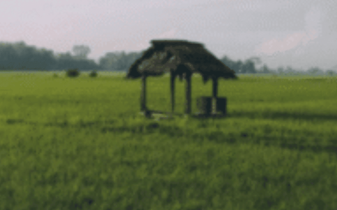 Well, Well, Well – A 7000-year-old Prehistoric Well Found in Good Condition