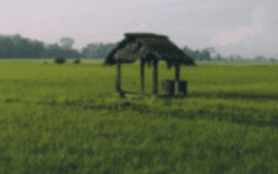 Well, Well, Well – A 7000-year-old Prehistoric Well Found in Good Condition