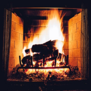 Firewood – Understanding Some Basics