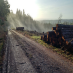 End Coating Logs Can Maintain Value